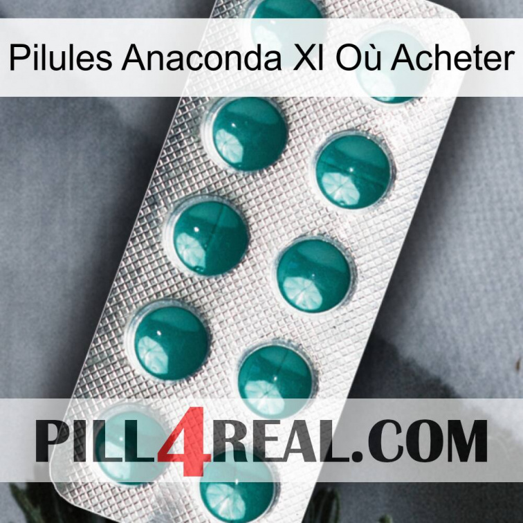 Pilules Anaconda Xl Où Acheter dapoxetine1